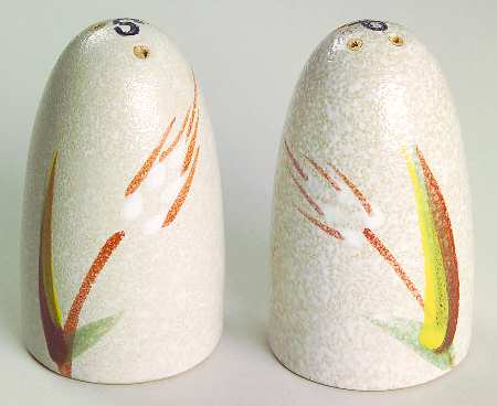 Wild Rice Salt & Pepper Set