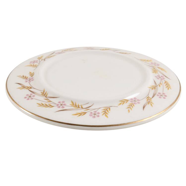 Harvest Lid for Large Refrigerator Jar