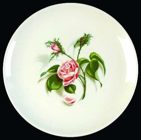 Moss Rose (No Trim) Bread & Butter Plate by Universal