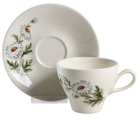 Shasta Daisy Flat Cup & Saucer Set by Universal