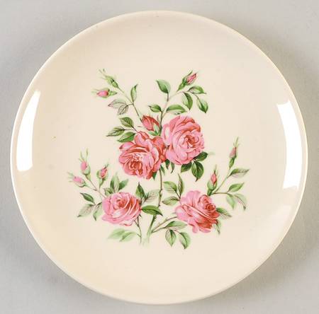 UNI21 Bread & Butter Plate by Universal