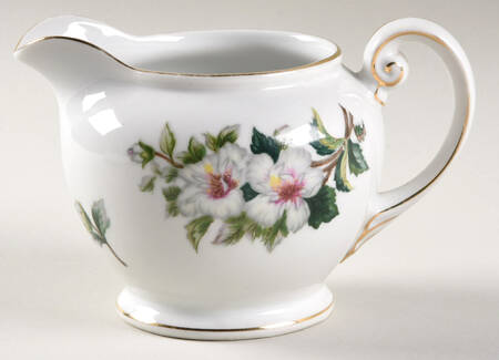 Diana Creamer
