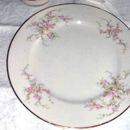 USA5 Dinner Plate