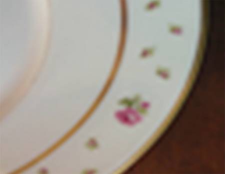 UNC111 Dinner Plate