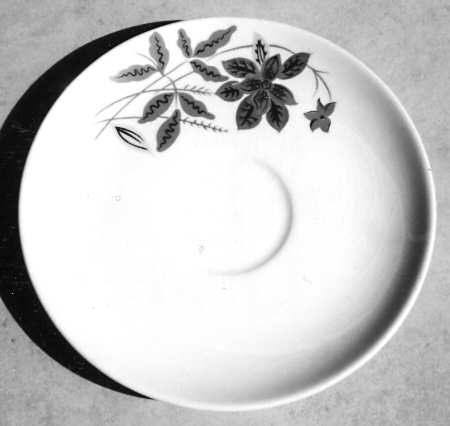UNI120 Saucer