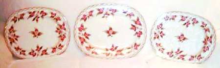 Potentilla by England