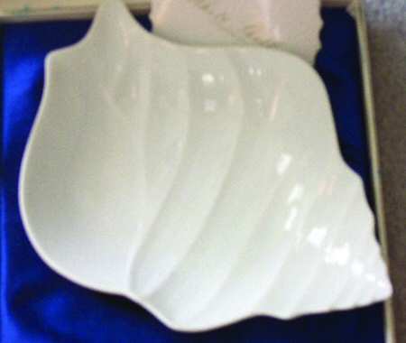 White Shell by Utsuwakan