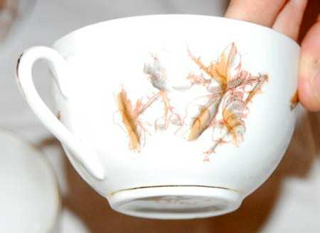 1538 Flat Cup