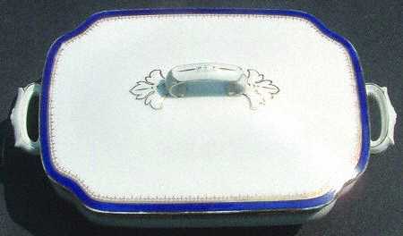 13620 Rectangular Covered Vegetable