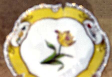 Chelsea Garden by Unknown Manufacturer