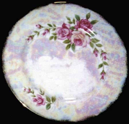 Flower of the Month Dinner Plate