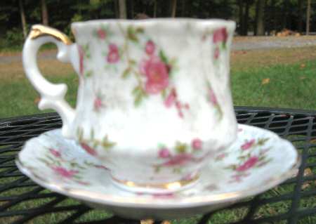 C389 Footed Cup & Saucer Set
