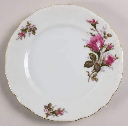 12-105V Salad Plate