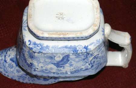 Spanish Lady Creamer