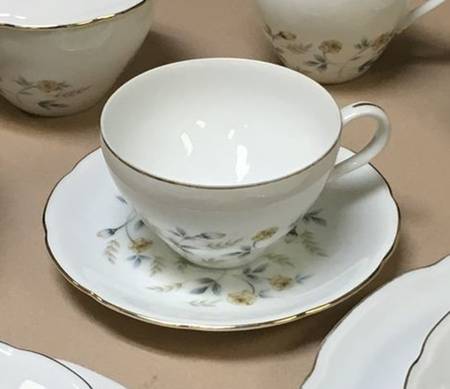 Cascade Rose Flat Cup & Saucer Set