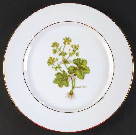 PRL8-Gold Trim Dinner Plate