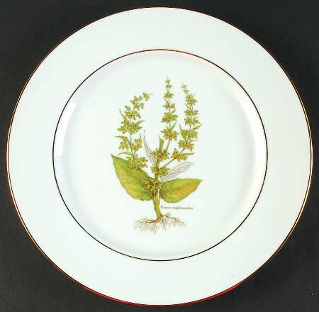 PRL8-Gold Trim Dinner Plate