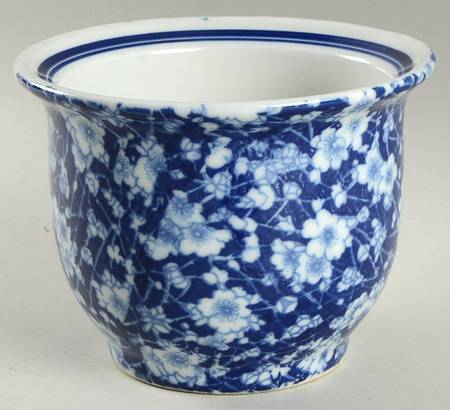 CX921 Cachepot