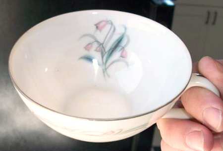 Encore Flat Cup