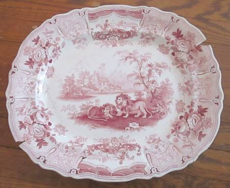 Africana Pink by Edward &amp; George Phillips