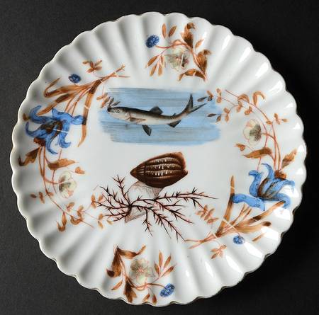 MXG16 Salad Plate