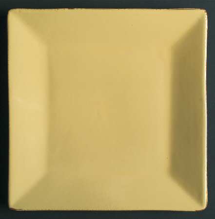 Cucina Fresca Square Dinner Plate