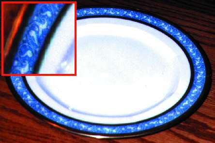 VIG27 Dinner Plate