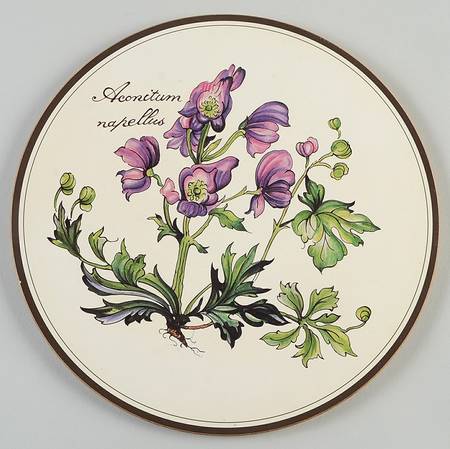 Botanica Round Cork Back Trivet
