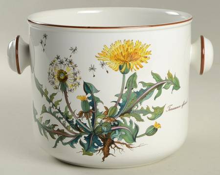 Botanica Large Cachepot