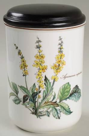 Botanica 5" Storage Jar & Lid