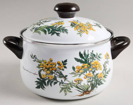 Botanica 4 Quart Metal Stew Pot