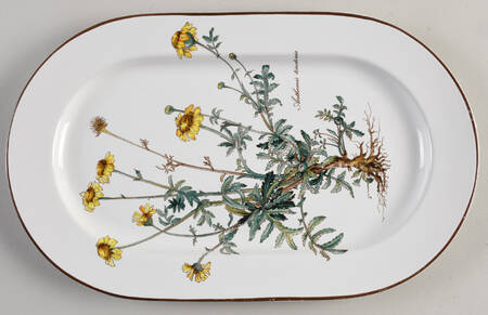Botanica 13" Oval Serving Platter