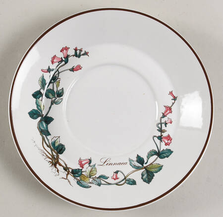 Botanica Saucer for Flat Demitasse Cup