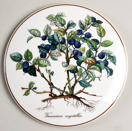 Botanica Lid for 5" Candy Box