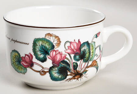 Botanica Jumbo Cup