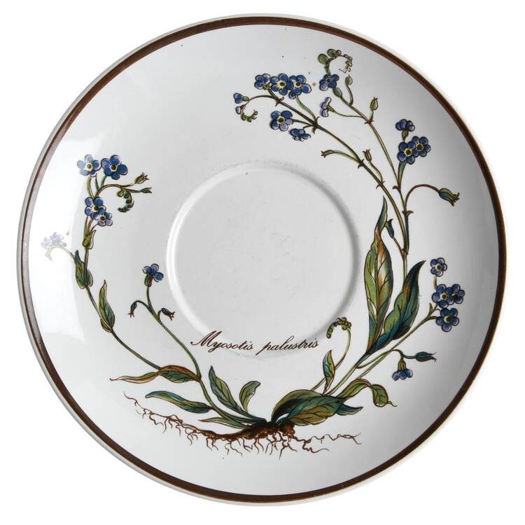 Botanica Saucer for Flat Cup
