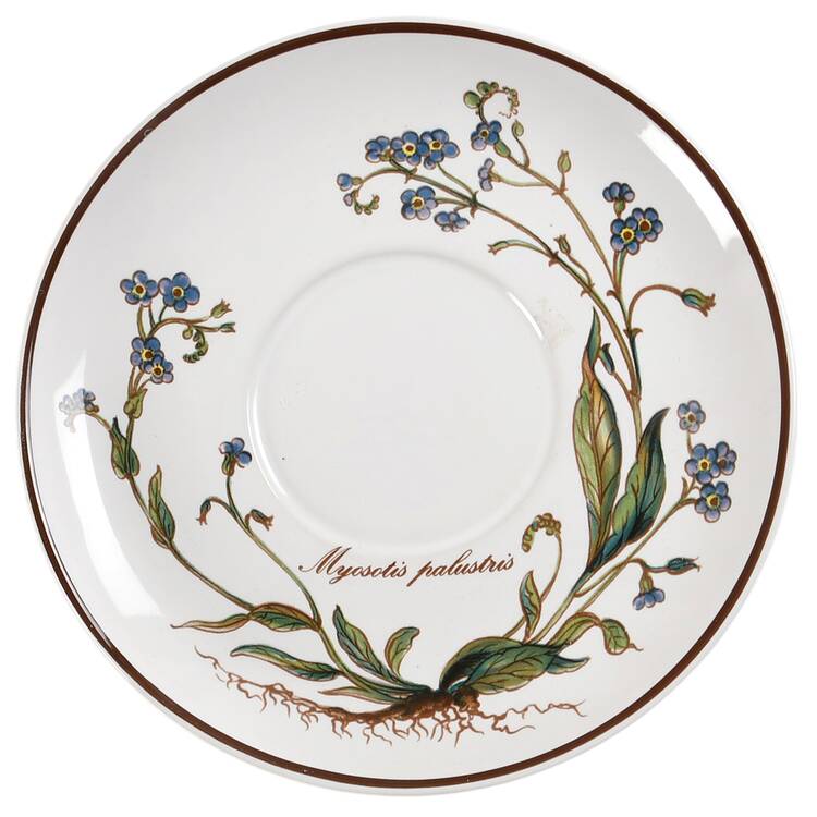 Botanica Saucer for Flat Cup