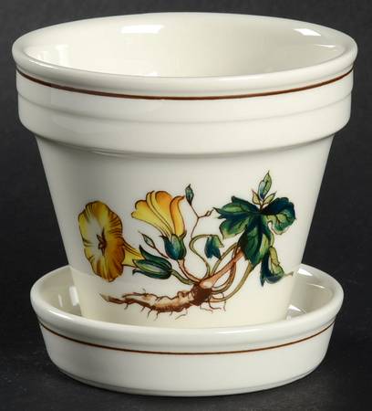 Botanica 2" Flower Pot & Underplate