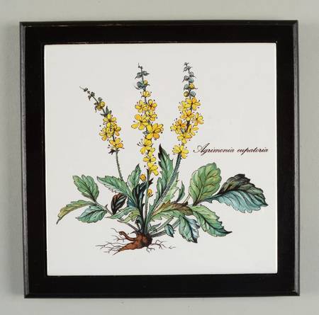 Botanica Wood Frame Trivet