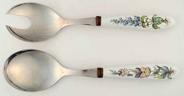 Botanica (2 Piece) Salad Set with Stainless Bowl