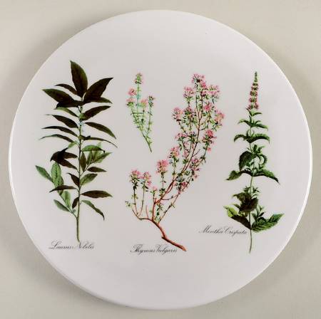 Botanica Melamine/Melmac Trivet