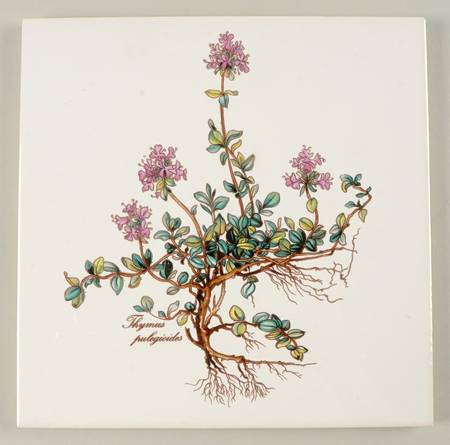 Botanica Trivet