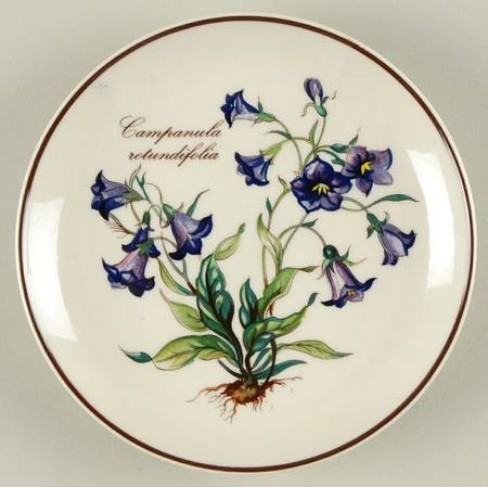 Botanica Coaster