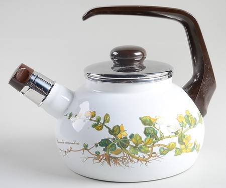 Botanica Metal Kettle & Lid