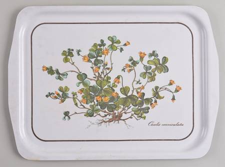 Botanica 19" Plastic Serving Tray