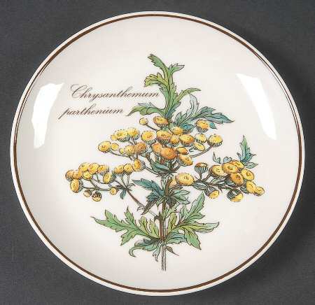 Botanica Coaster