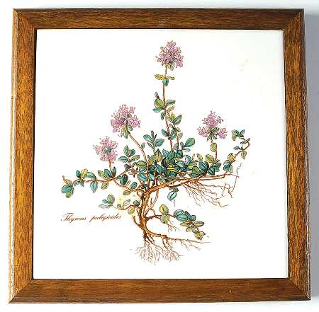 Botanica Wood Frame Trivet