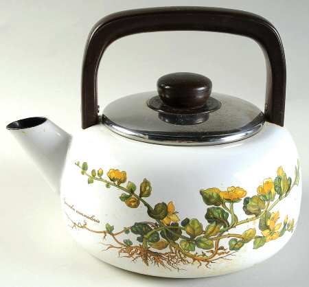 Botanica Metal Kettle & Lid