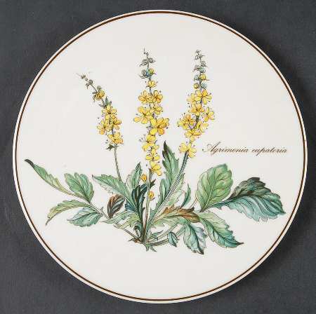 Botanica Tea Tile