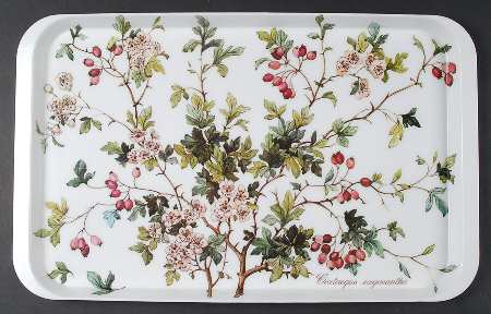 Botanica 18" Plastic Serving Tray